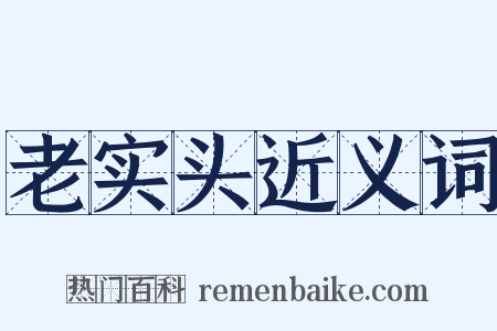 老实头近义词是什么意思的图片